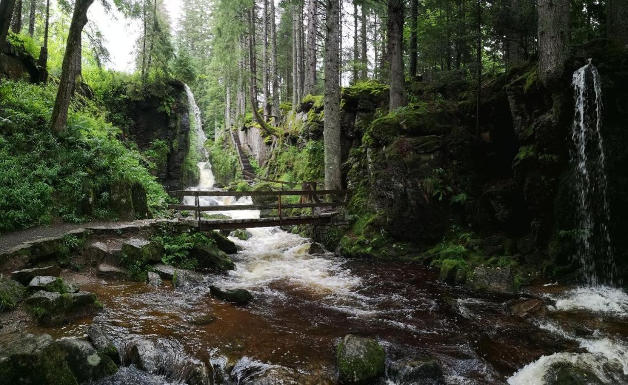 C3 Albmatte-Fewo Sauna, Hallenbad Aussenbecken Massagen Nebenan St. Blasien Esterno foto