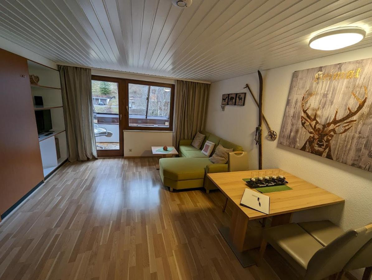 C3 Albmatte-Fewo Sauna, Hallenbad Aussenbecken Massagen Nebenan St. Blasien Esterno foto