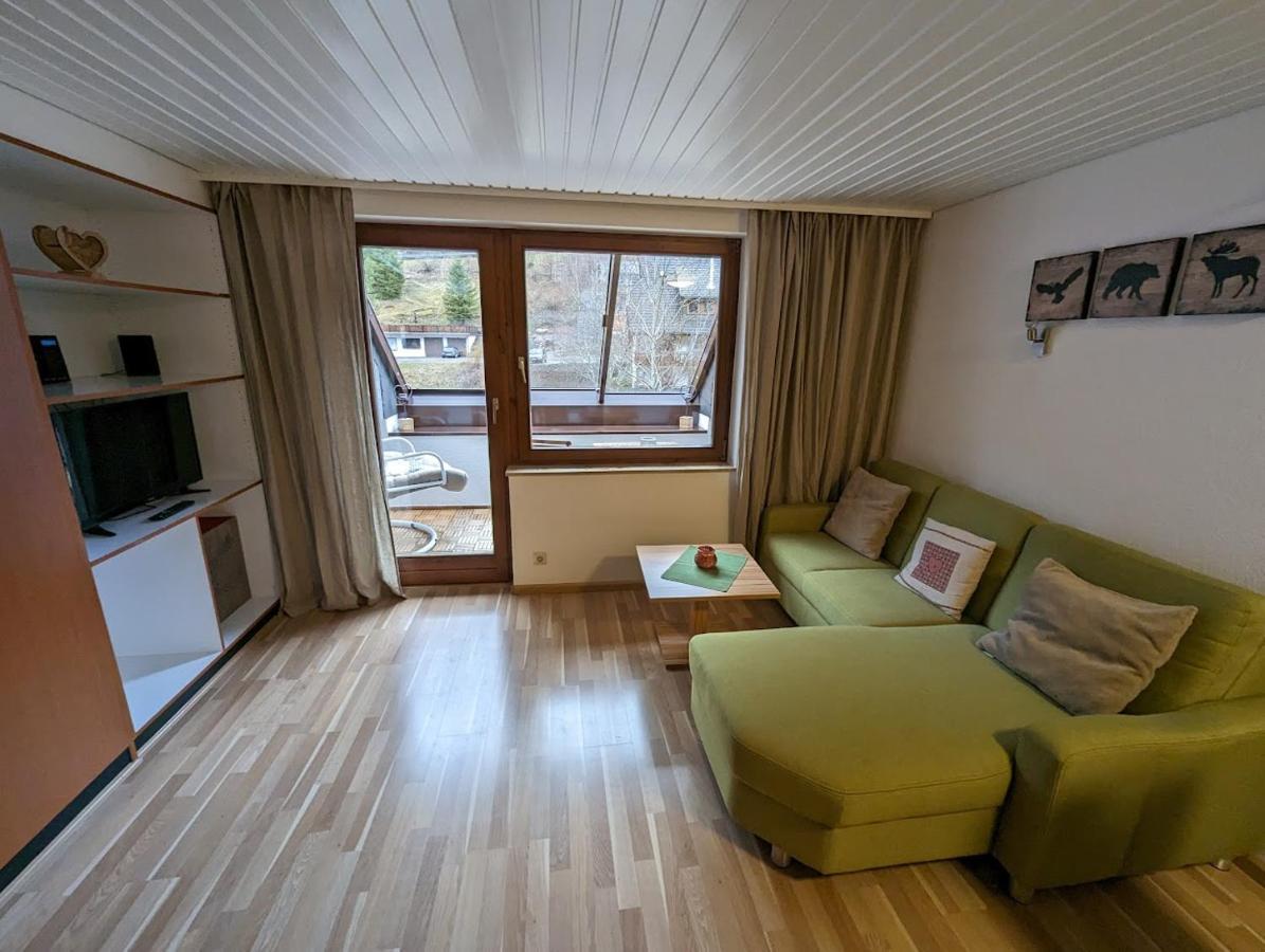 C3 Albmatte-Fewo Sauna, Hallenbad Aussenbecken Massagen Nebenan St. Blasien Esterno foto