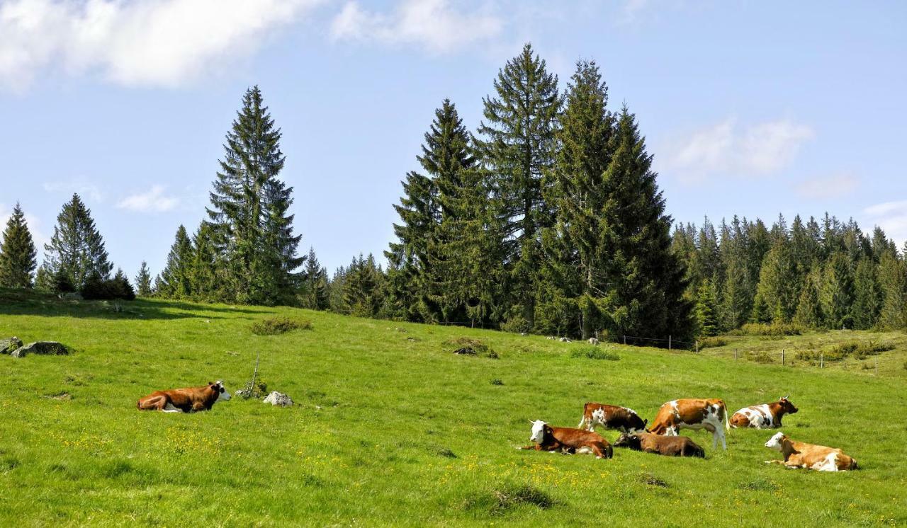 C3 Albmatte-Fewo Sauna, Hallenbad Aussenbecken Massagen Nebenan St. Blasien Esterno foto