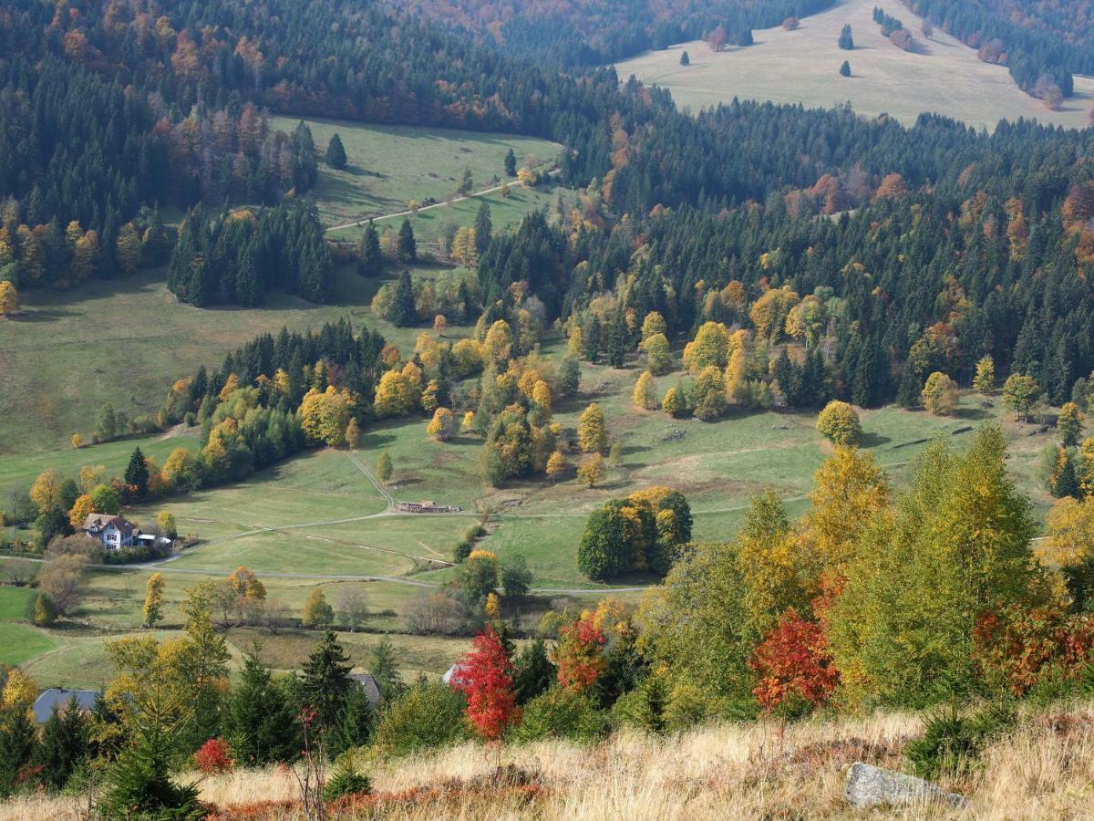 C3 Albmatte-Fewo Sauna, Hallenbad Aussenbecken Massagen Nebenan St. Blasien Esterno foto