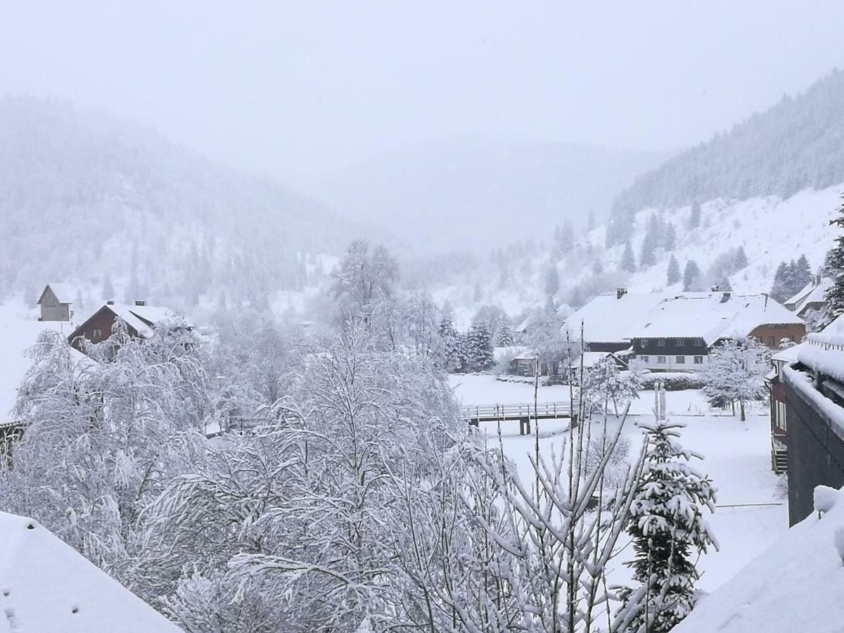 C3 Albmatte-Fewo Sauna, Hallenbad Aussenbecken Massagen Nebenan St. Blasien Esterno foto