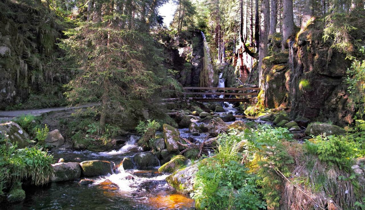 C3 Albmatte-Fewo Sauna, Hallenbad Aussenbecken Massagen Nebenan St. Blasien Esterno foto