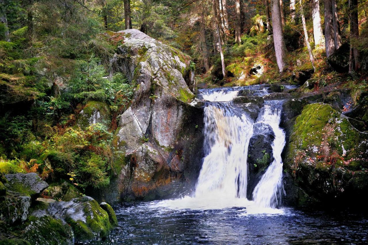 C3 Albmatte-Fewo Sauna, Hallenbad Aussenbecken Massagen Nebenan St. Blasien Esterno foto