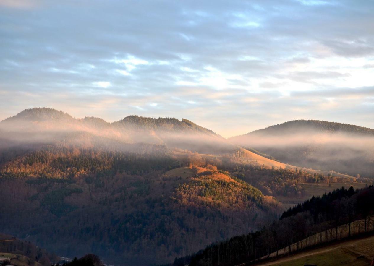 C3 Albmatte-Fewo Sauna, Hallenbad Aussenbecken Massagen Nebenan St. Blasien Esterno foto