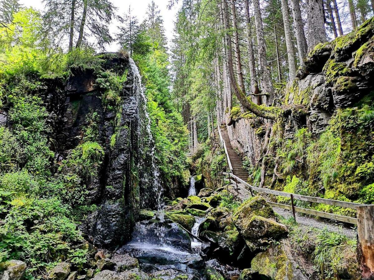 C3 Albmatte-Fewo Sauna, Hallenbad Aussenbecken Massagen Nebenan St. Blasien Esterno foto