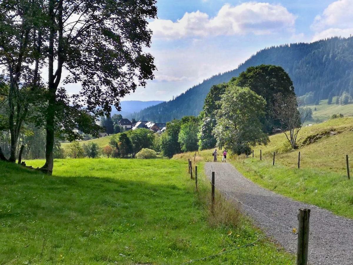 C3 Albmatte-Fewo Sauna, Hallenbad Aussenbecken Massagen Nebenan St. Blasien Esterno foto