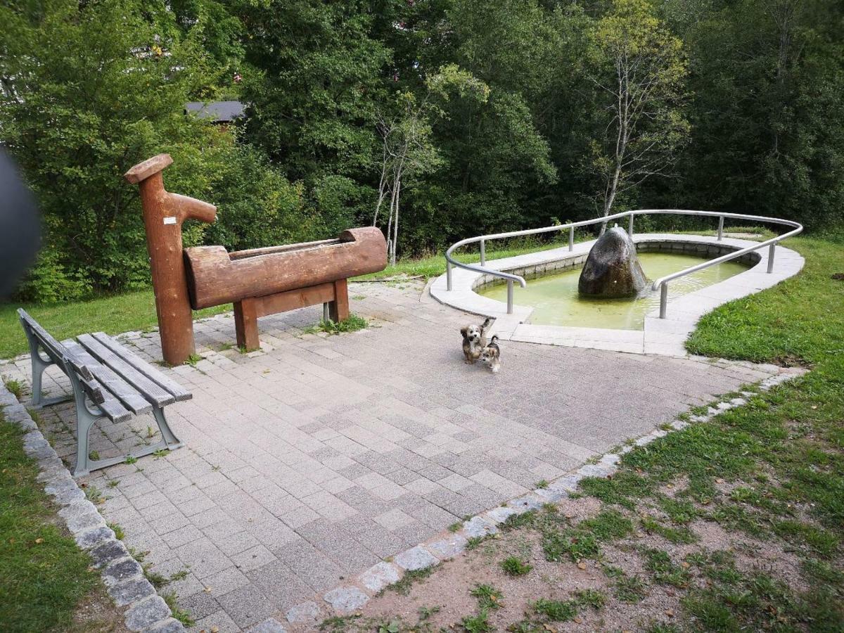 C3 Albmatte-Fewo Sauna, Hallenbad Aussenbecken Massagen Nebenan St. Blasien Esterno foto