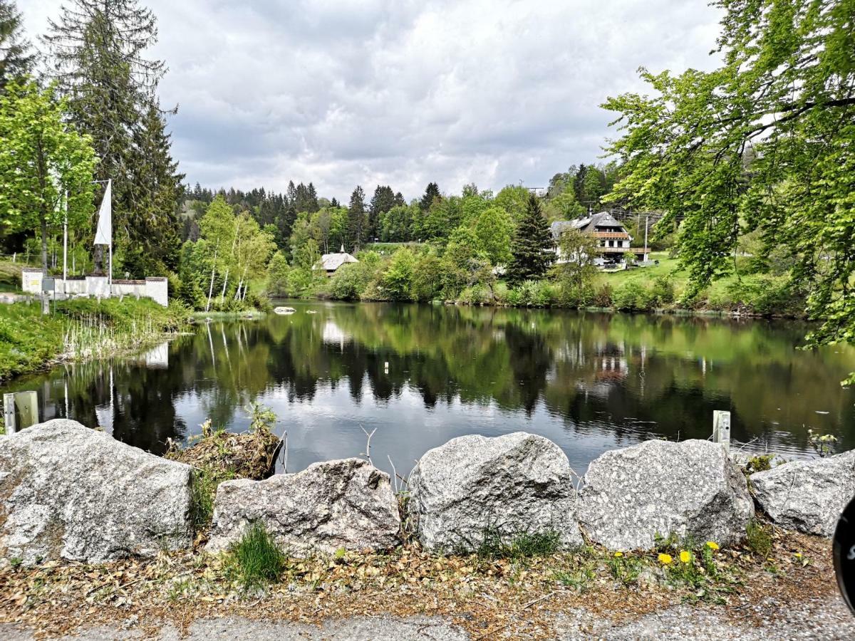 C3 Albmatte-Fewo Sauna, Hallenbad Aussenbecken Massagen Nebenan St. Blasien Esterno foto